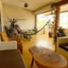 Rental image