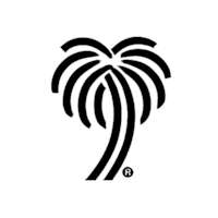 The White Palm