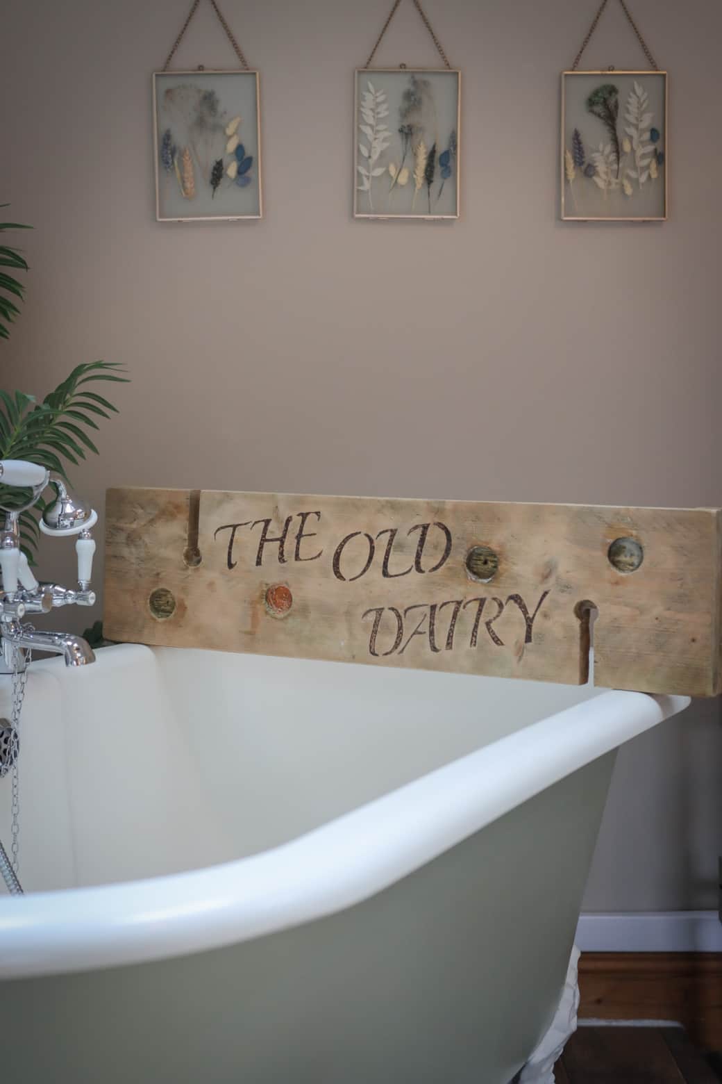 IMG 9920 2 IMG 9920 2