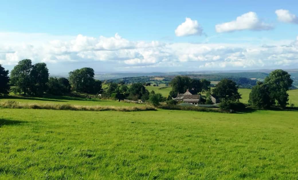 The View from The Top of the Hill