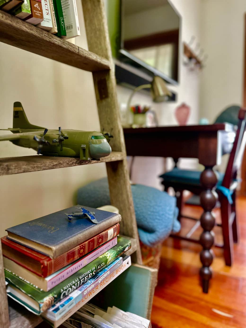 Toy plane and Books - A detail from the Cabin’s Livingroom Toy plane and Books - A detail from the Cabin’s Livingroom