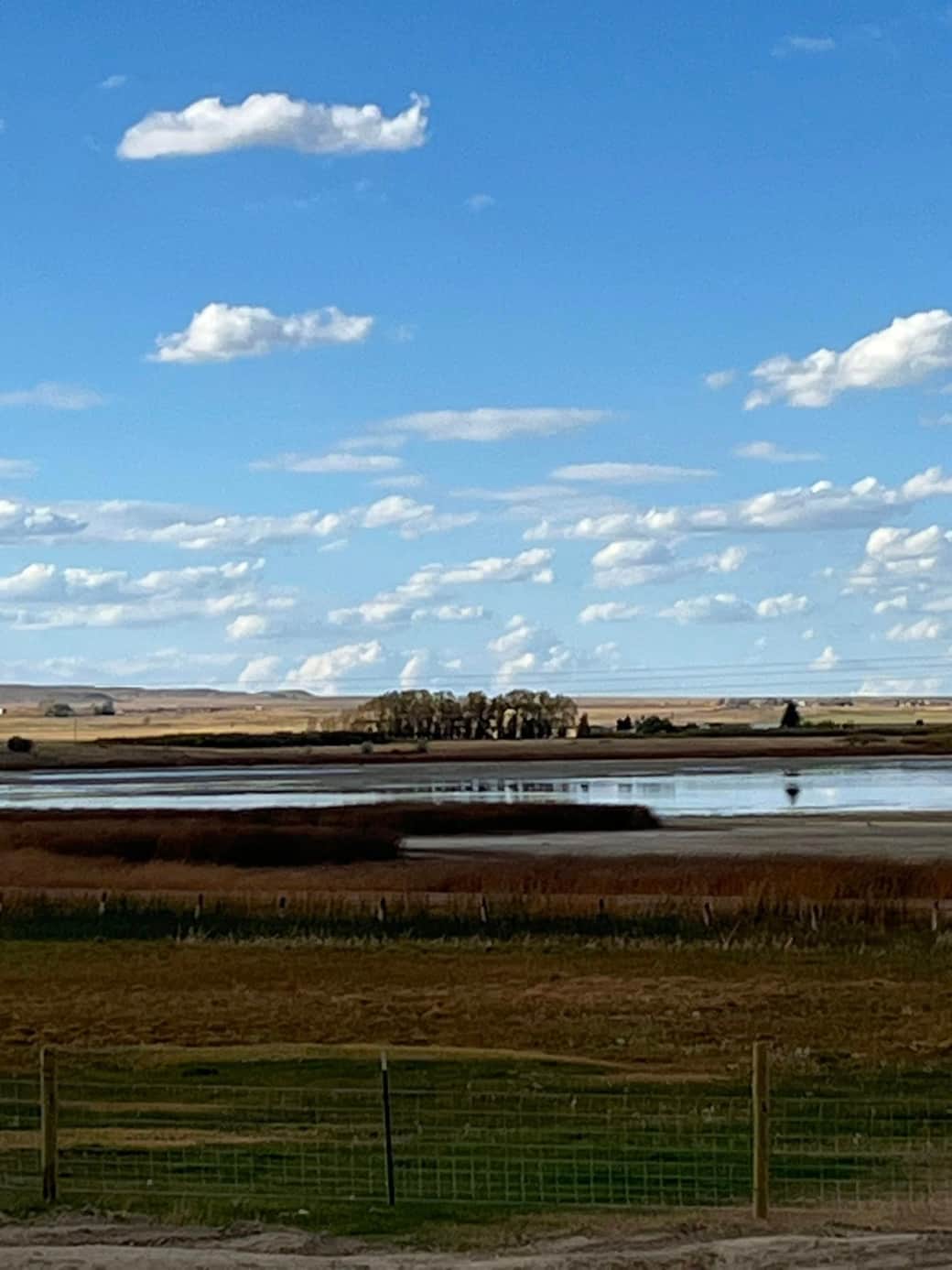 560027323 24768977382758746 4598367956167996098 n 560027323 24768977382758746 4598367956167996098 n