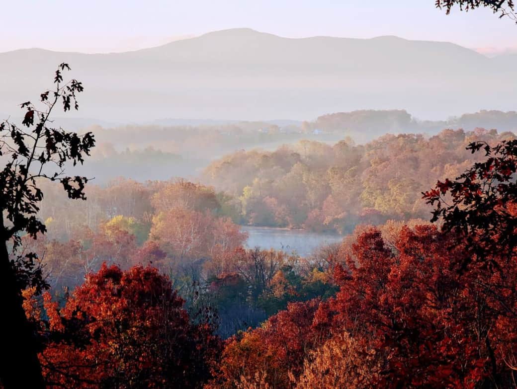 autumn views from the deck (close up photo)  