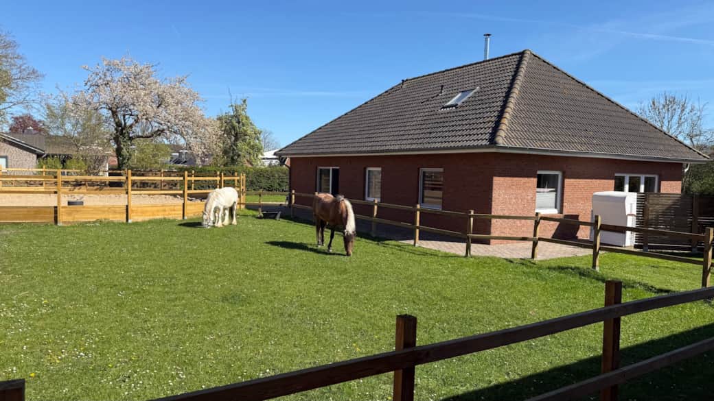 01 ferienhaus inseltraum fehmarn aussenansicht ponys 01