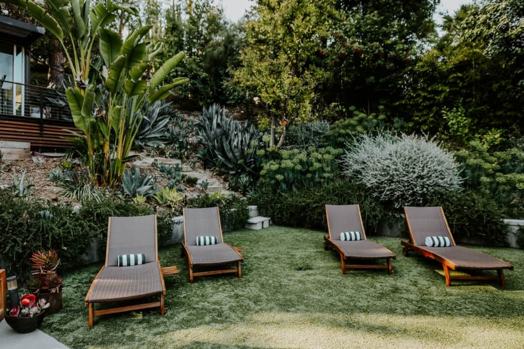 Sun Loungers