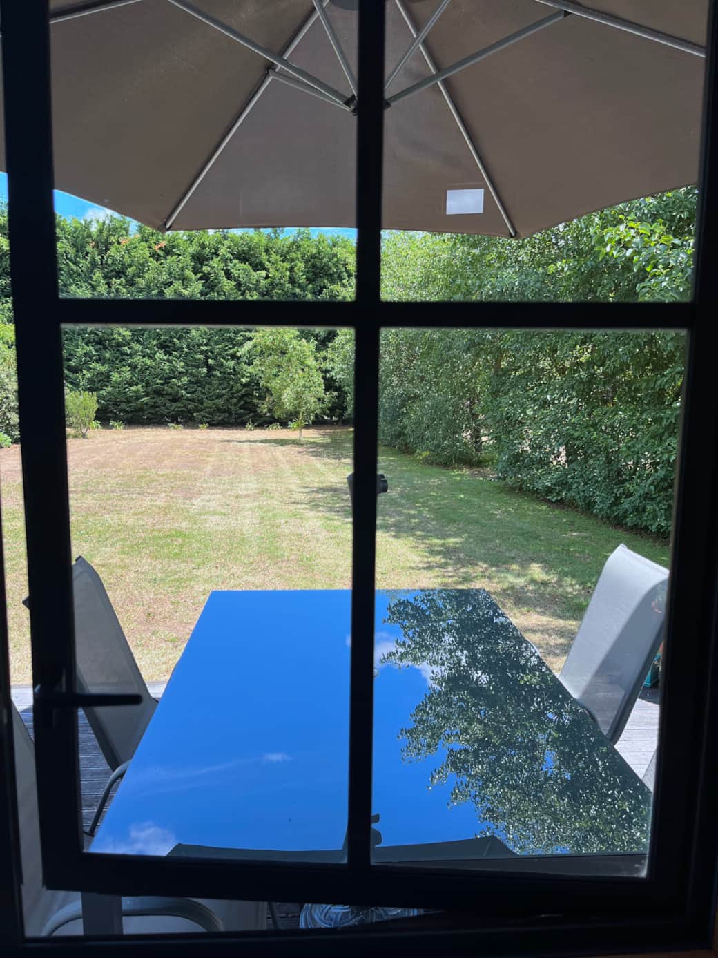 Backyard view
