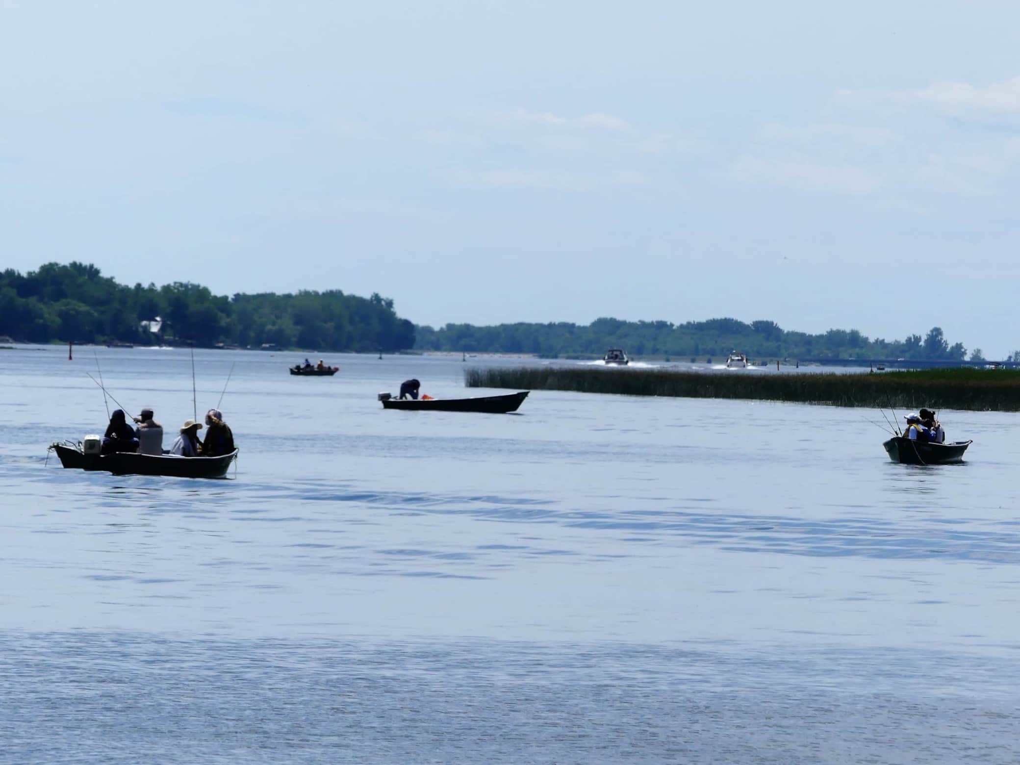 Pêche sur le richelieu (POURVOIRIE A DISTANCE DE MARCHE)