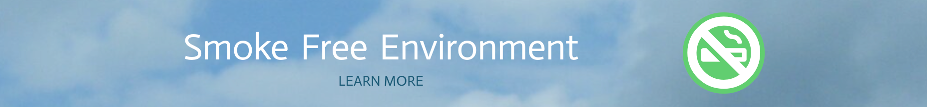 English Image Description