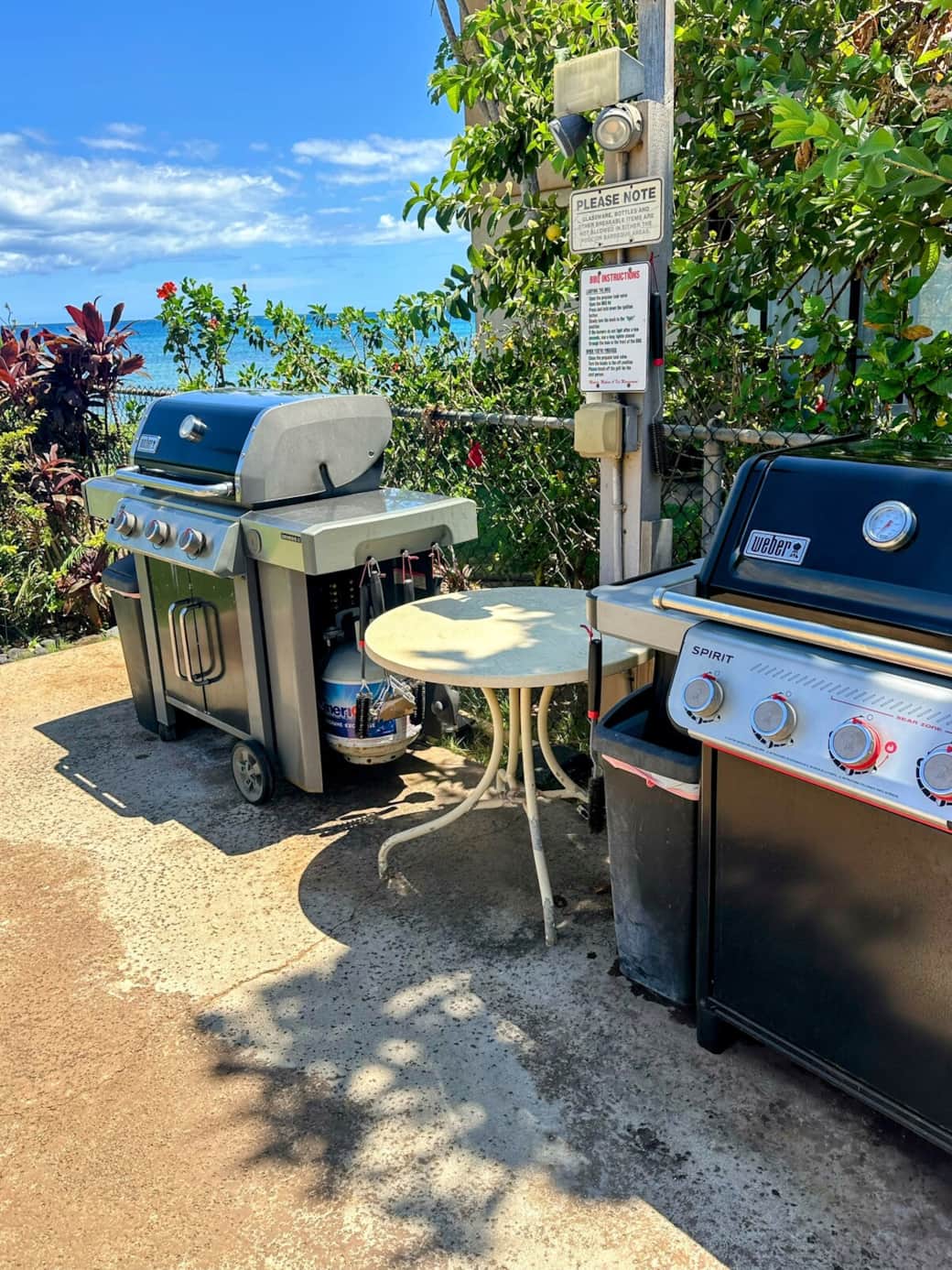 Gas Grills