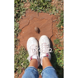 Ne pas abandonner… continuer d’y croire !