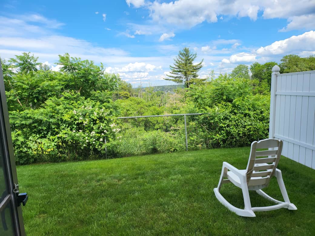 Back yard Back yard