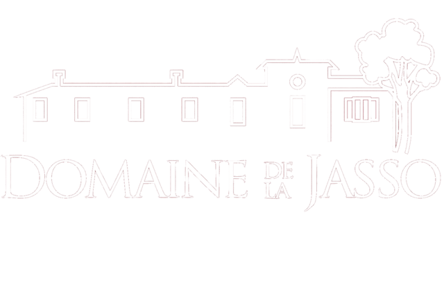 Jasso logo