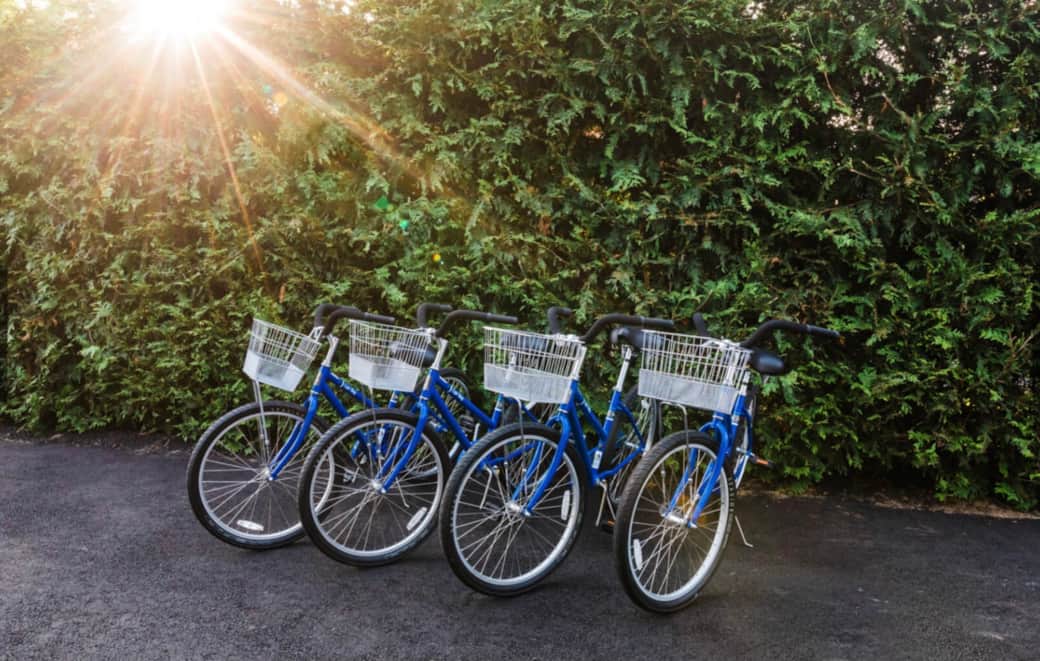Bike To Beach And Town
