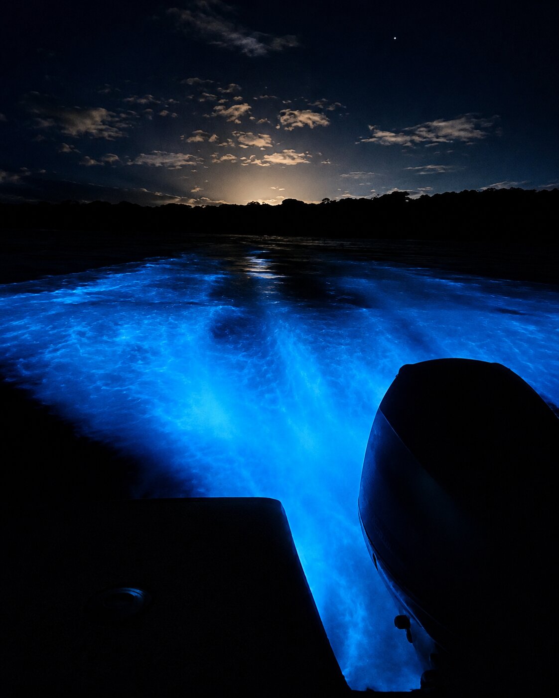 Bioluminescence Lagoon Tour