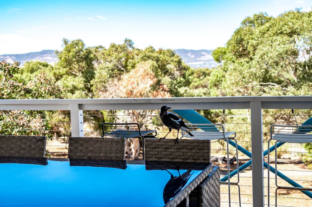 001 - 8 Lichen Walk, Aldinga Beach - WEB RES 001 - 8 Lichen Walk, Aldinga Beach - WEB RES