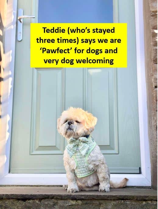 We're set up and welcoming for dogs including secure garden areas