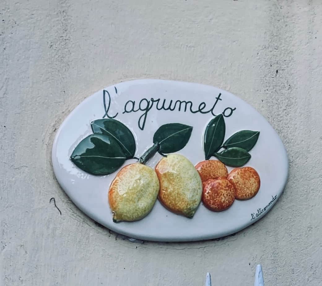 Image picker 4EC87EF8 201D 4916 A999 621B27B6DEBE 565 00000089A6B9EB69