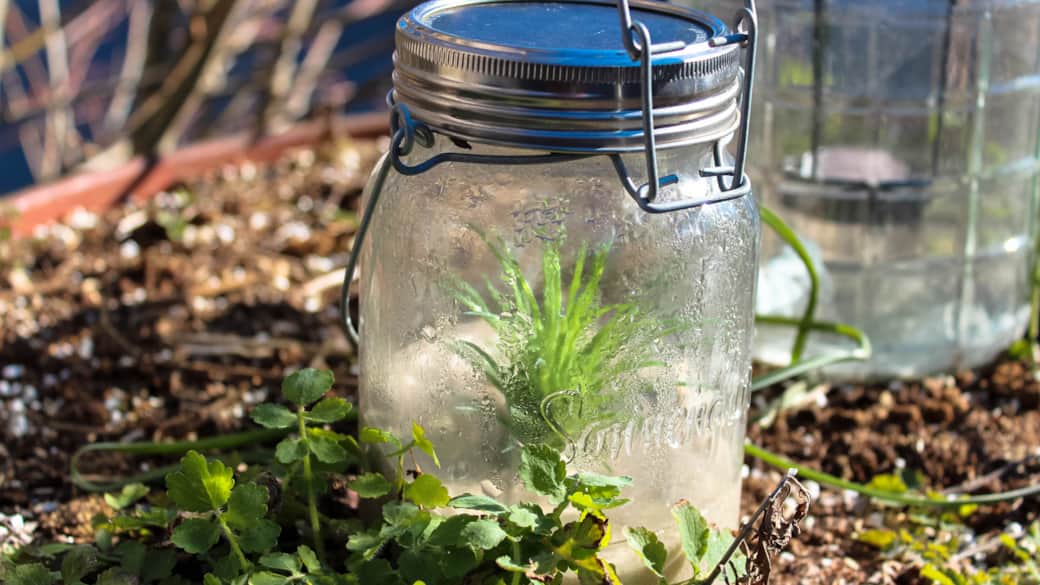 Backhaus 5 Backhaus 5