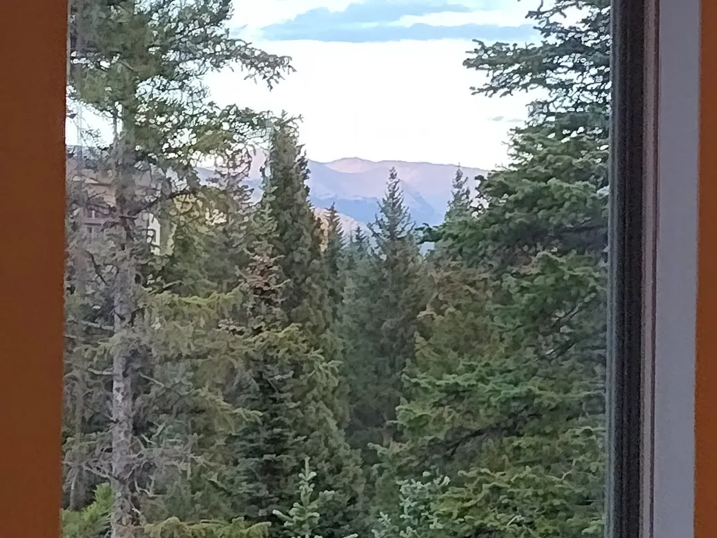View from Dining /Family Room