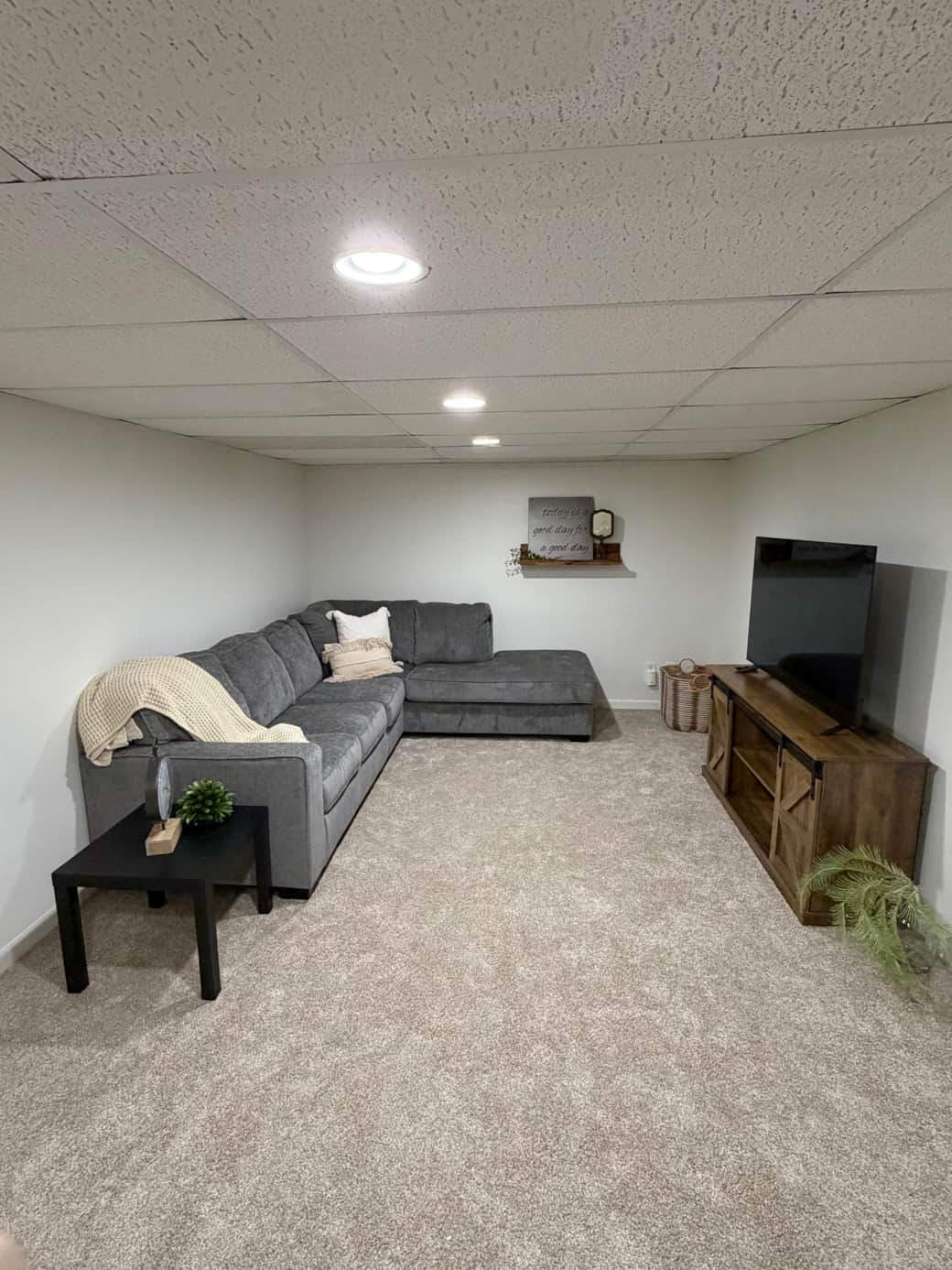 Downstairs living room, with sectional sleeper that pulls out to a queen bed.