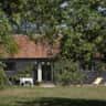 Rental image