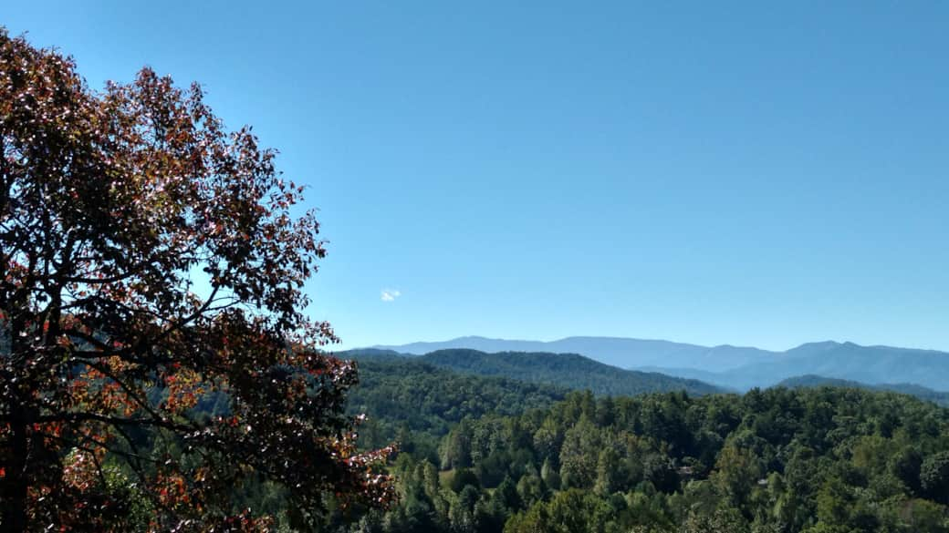 Front Porch View