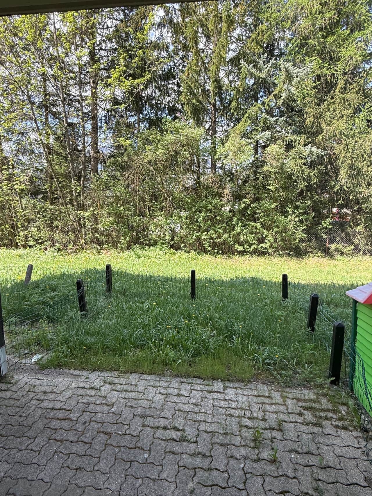 IMG 7838