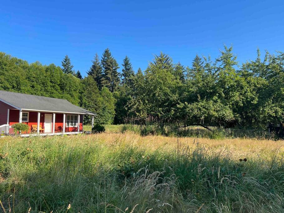 Next to an old Orchard