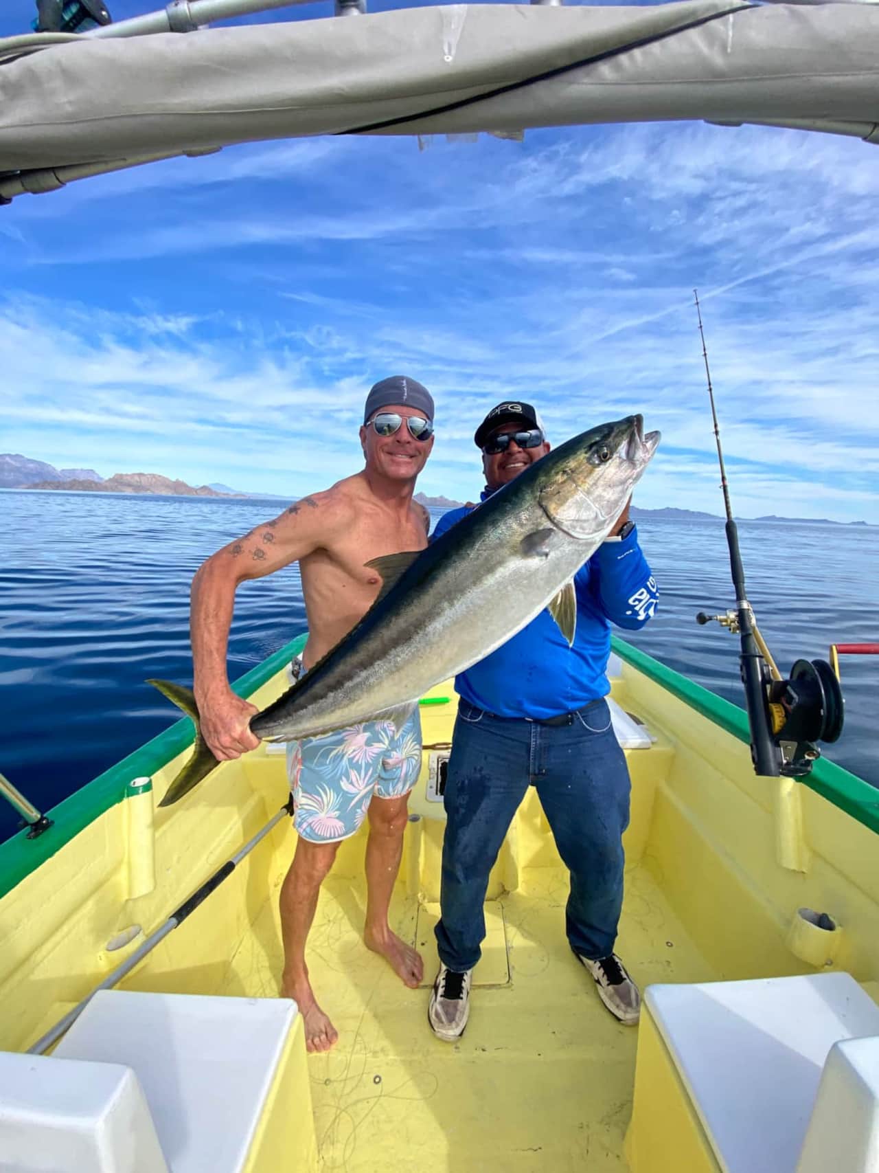 Yellow Tail