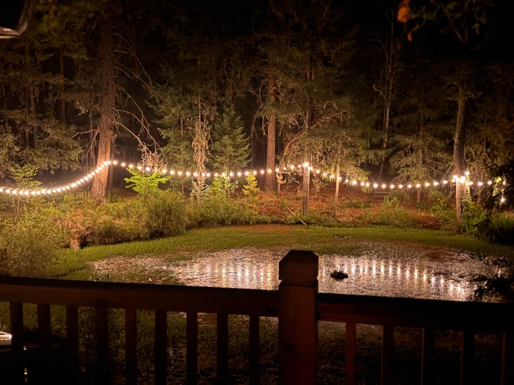 Pond Lights