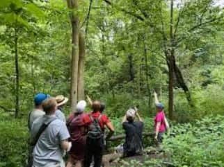 Ramsey Canyon Birding Tours