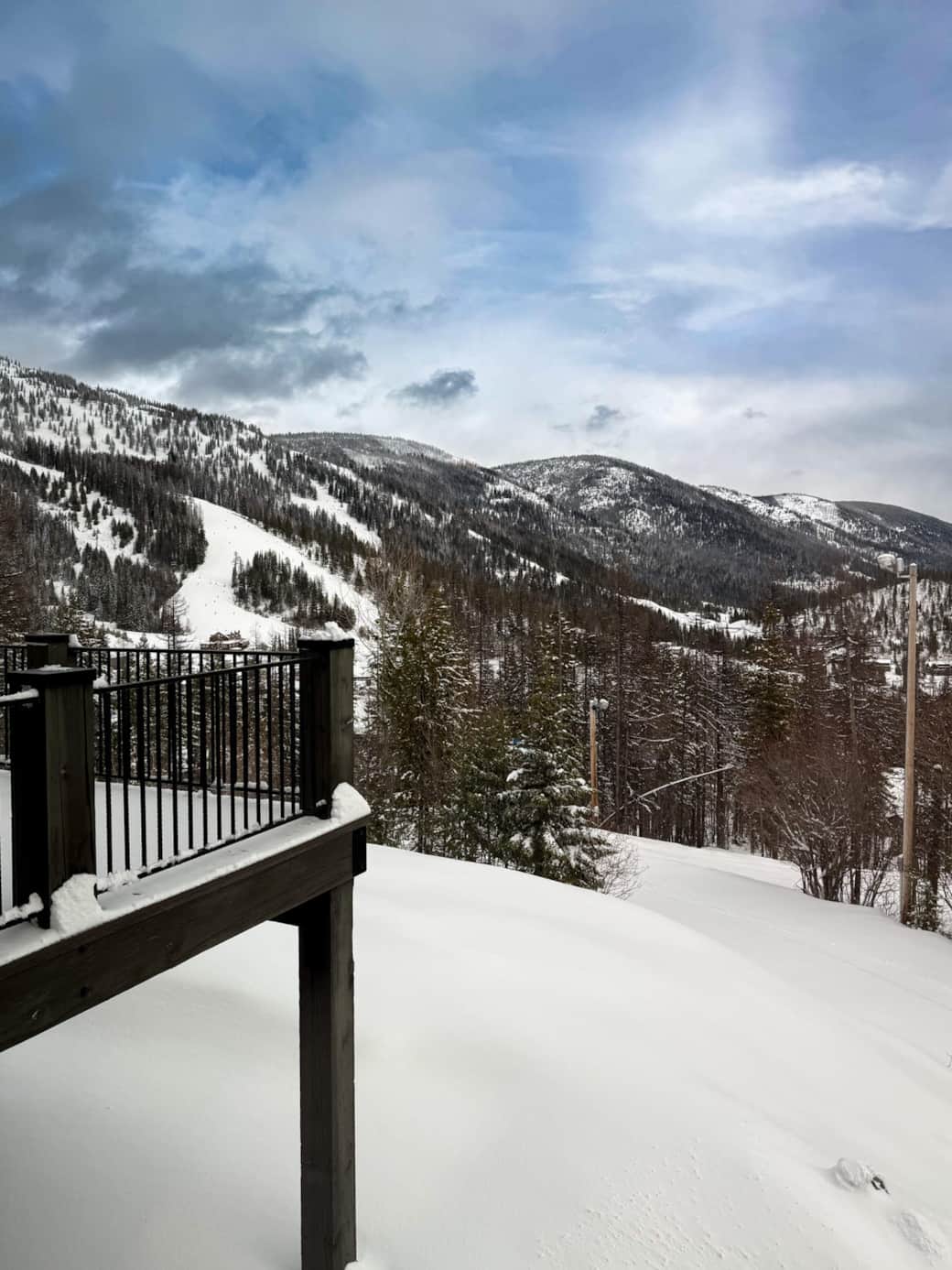 Winter Deck Views