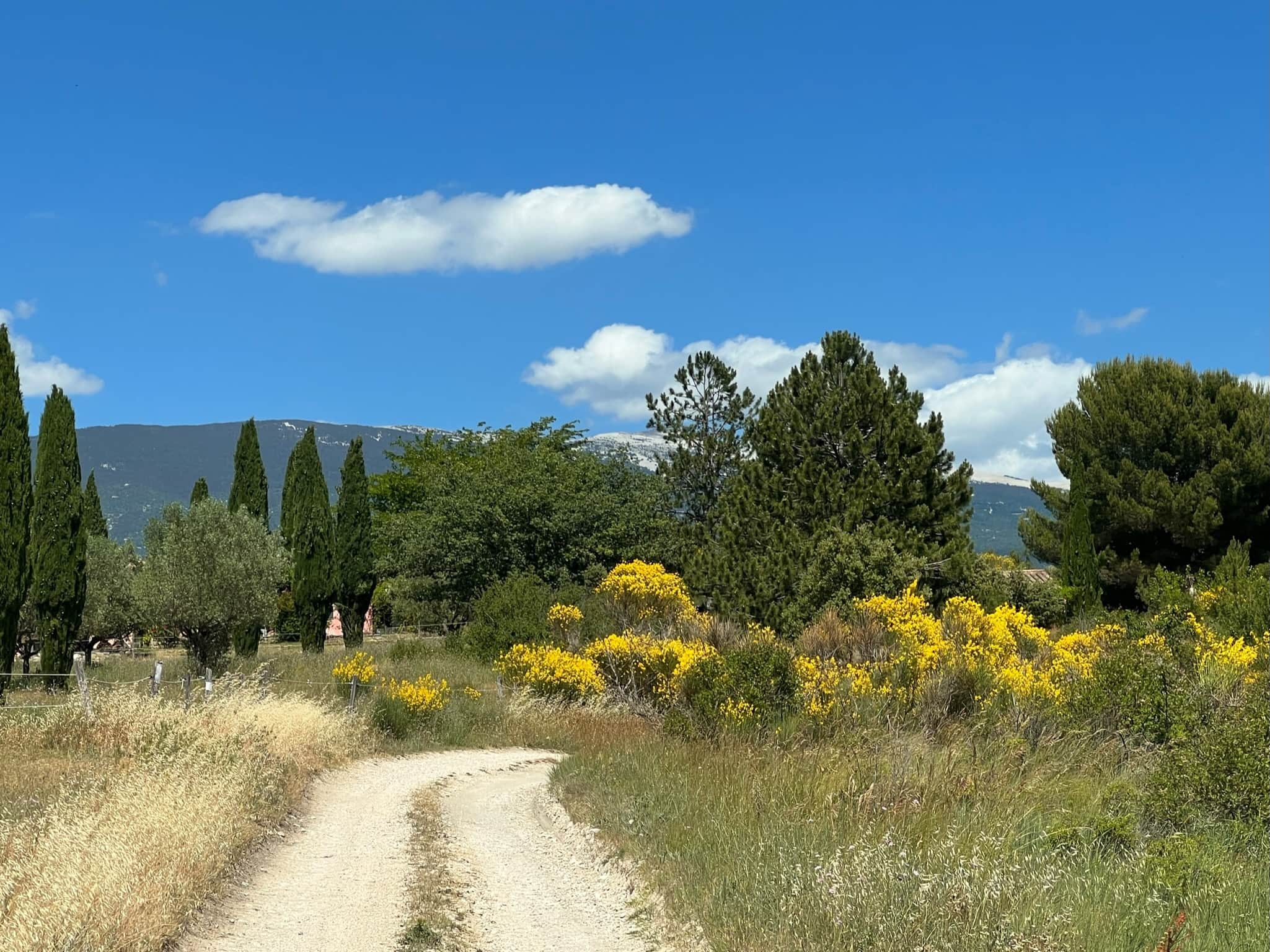 Stunning landscapes