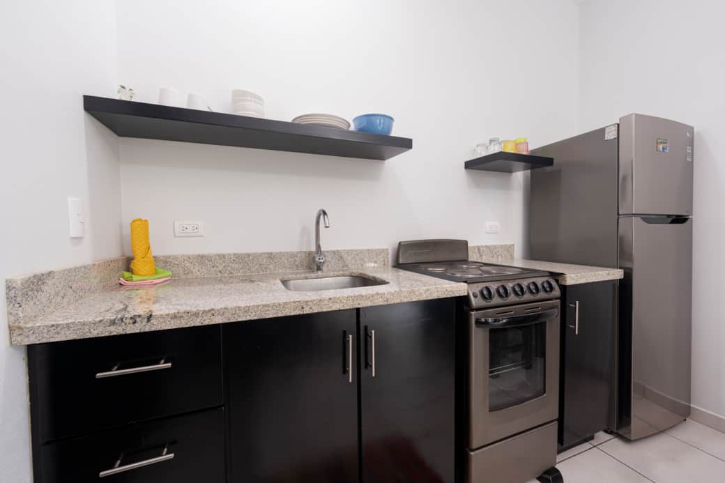 Coconut web -24 Coconut web -24