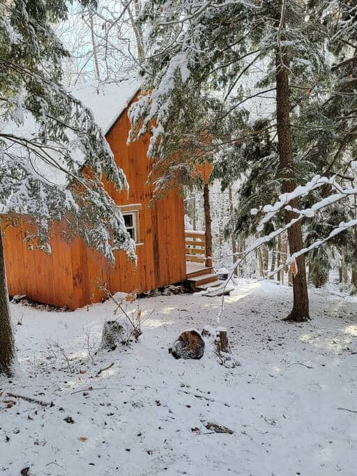 Nestled in the snow