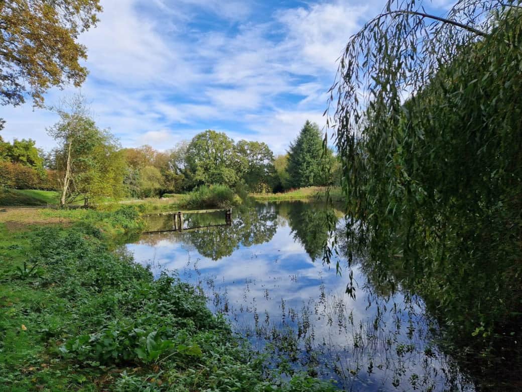 1572812d 6bc2 4b1f acc0 88a652fe40bc