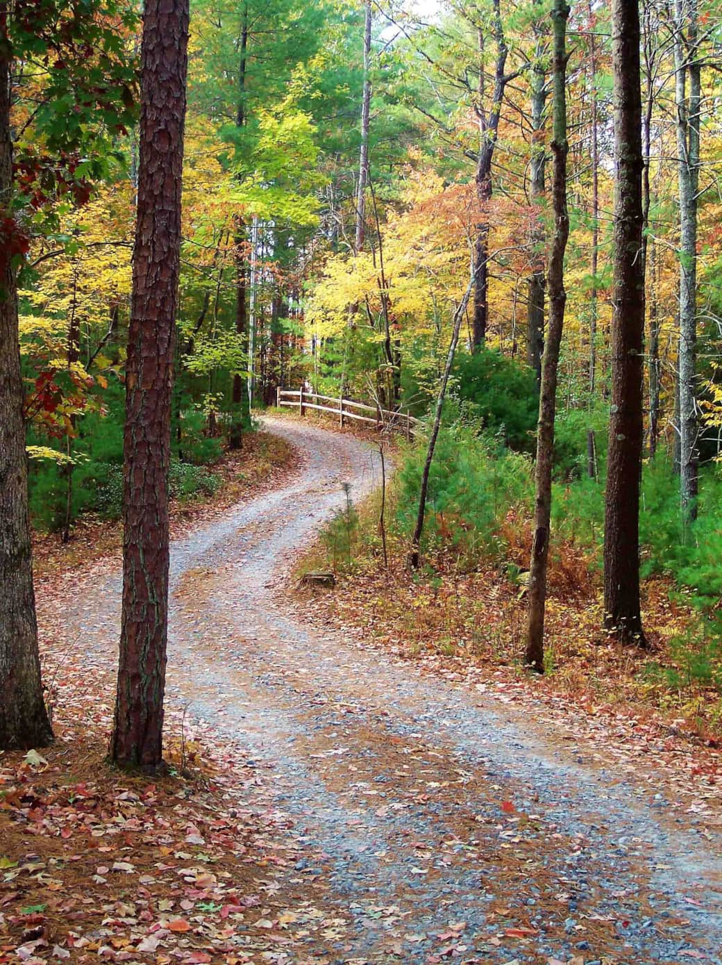 Scenic driveway