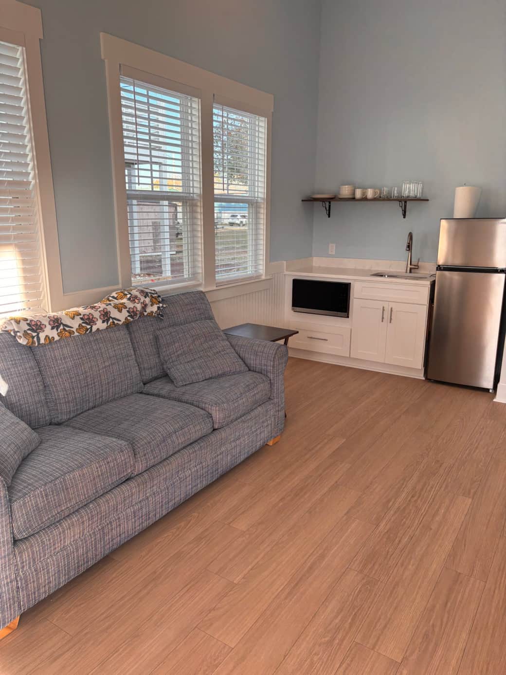 Living Room with pull out couch