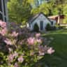 Rental image