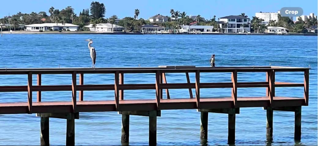 Wildlife