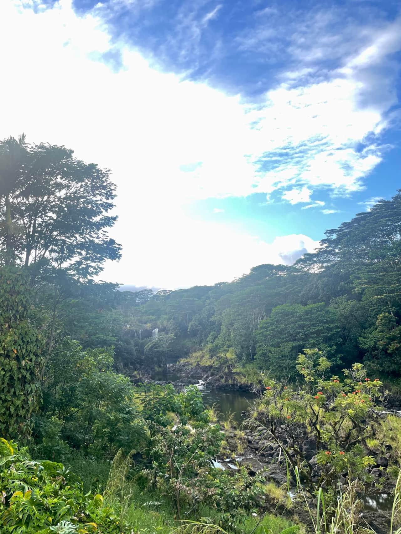 Hilo Waterfalls