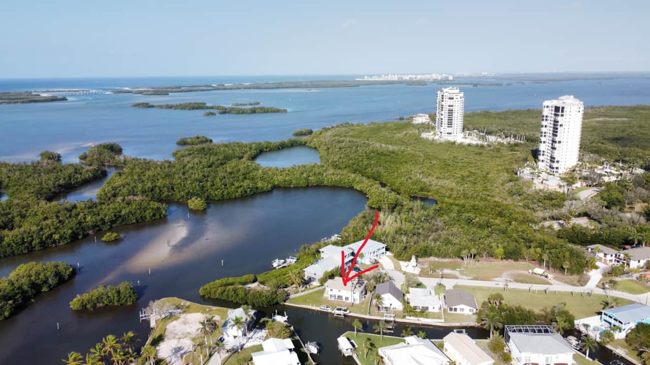 Sailfish from drone