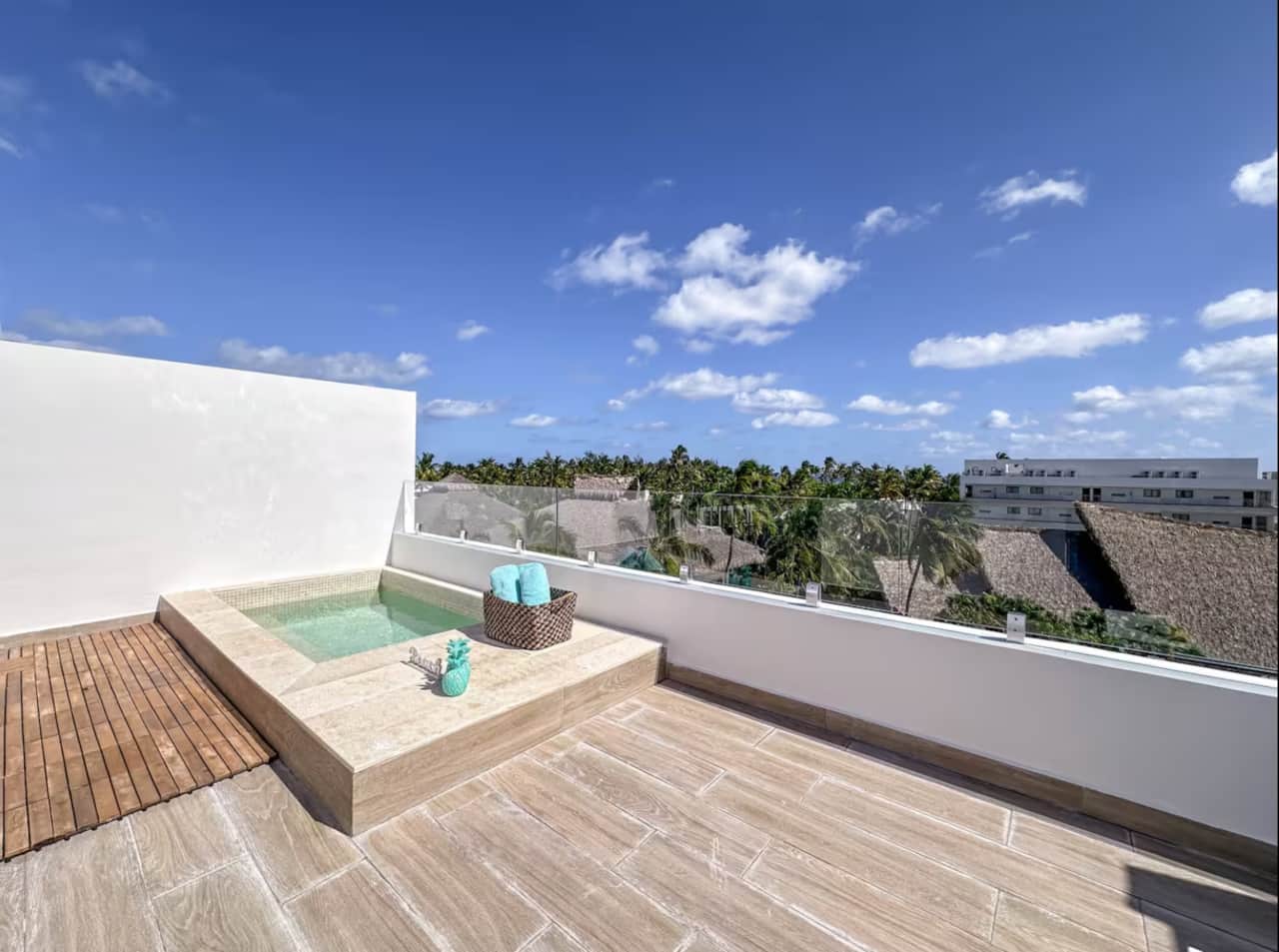 Cana Life Luxury Punta Cana Rooftop Picuzzi Penthouse (2)