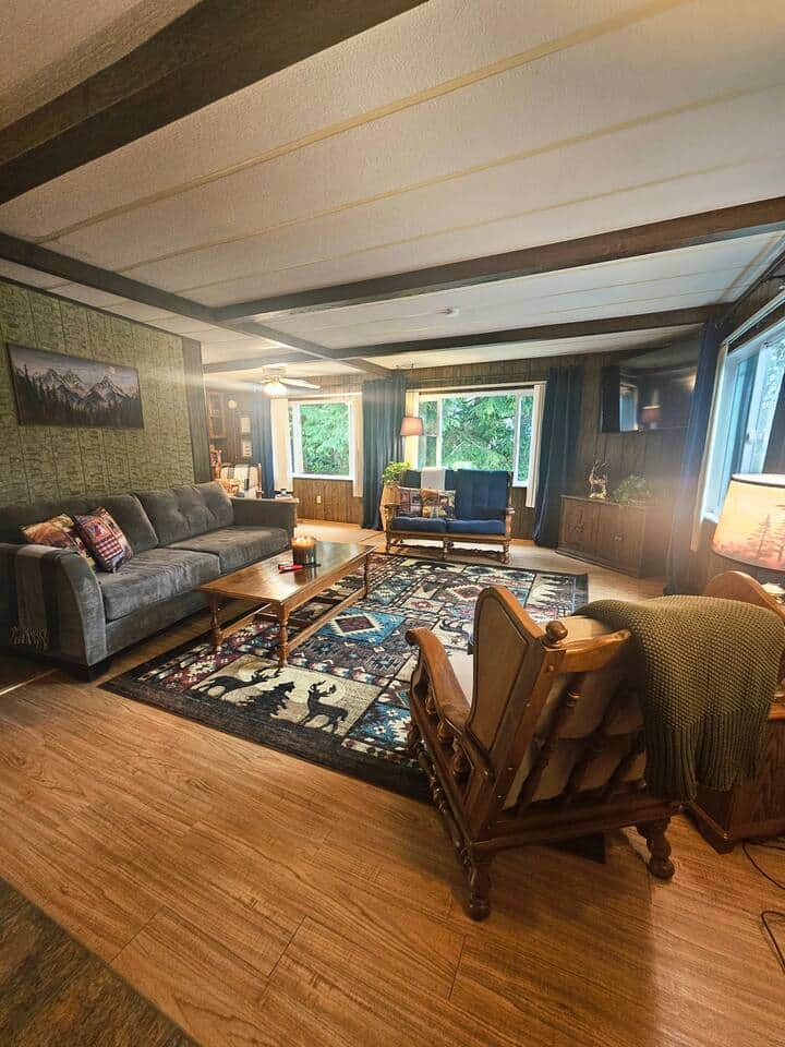 Rustic cabin vibes living room