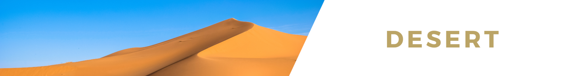 Luxury villa rentals and riad rentals
