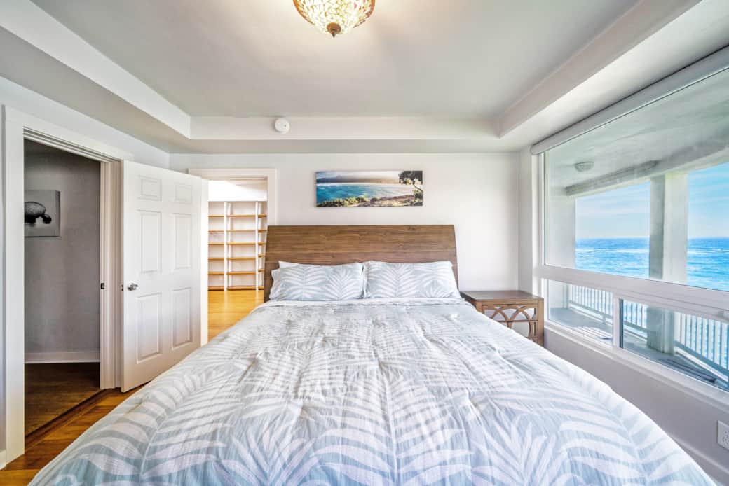 Downstairs guest suite