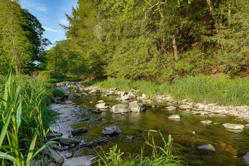 A gentle stream flows through our backyard — nature's soundtrack just for you.