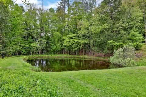 The serenity of the pond