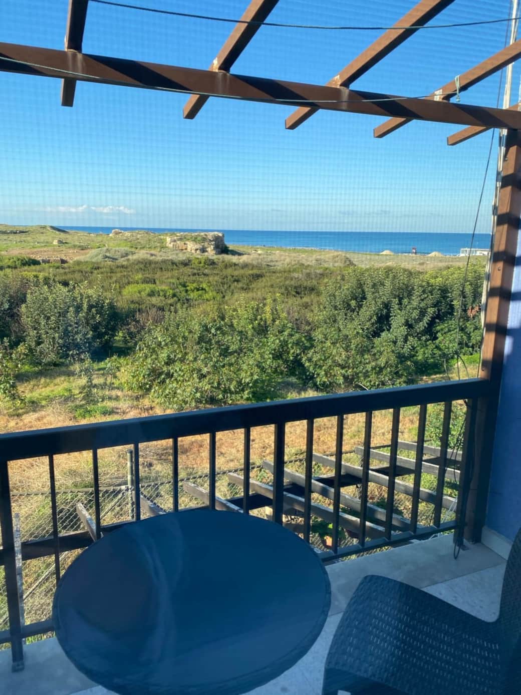 View from Balcony 