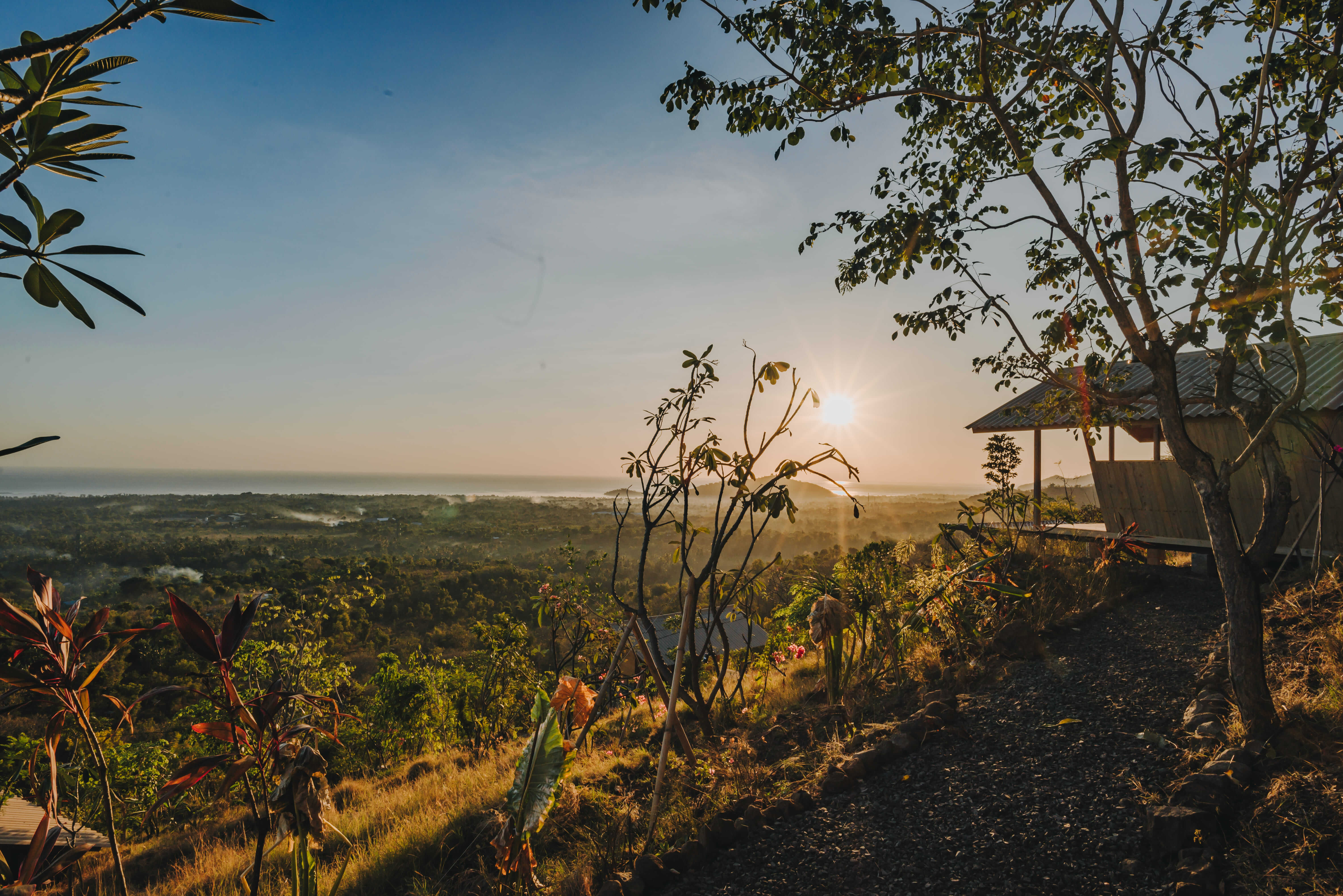 Rustic cabin in the woods with a natural setting